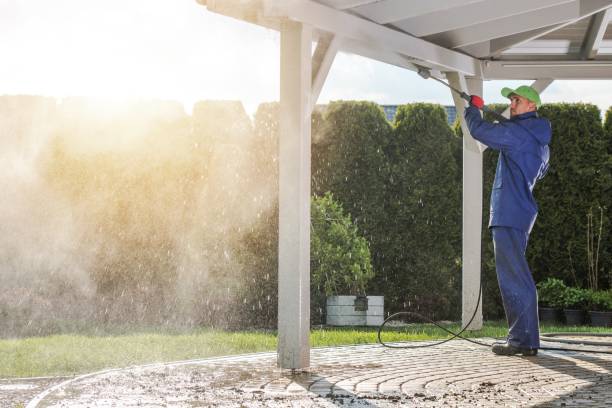Best Roof Cleaning and Mildew Removal in Golden Triangle, NJ